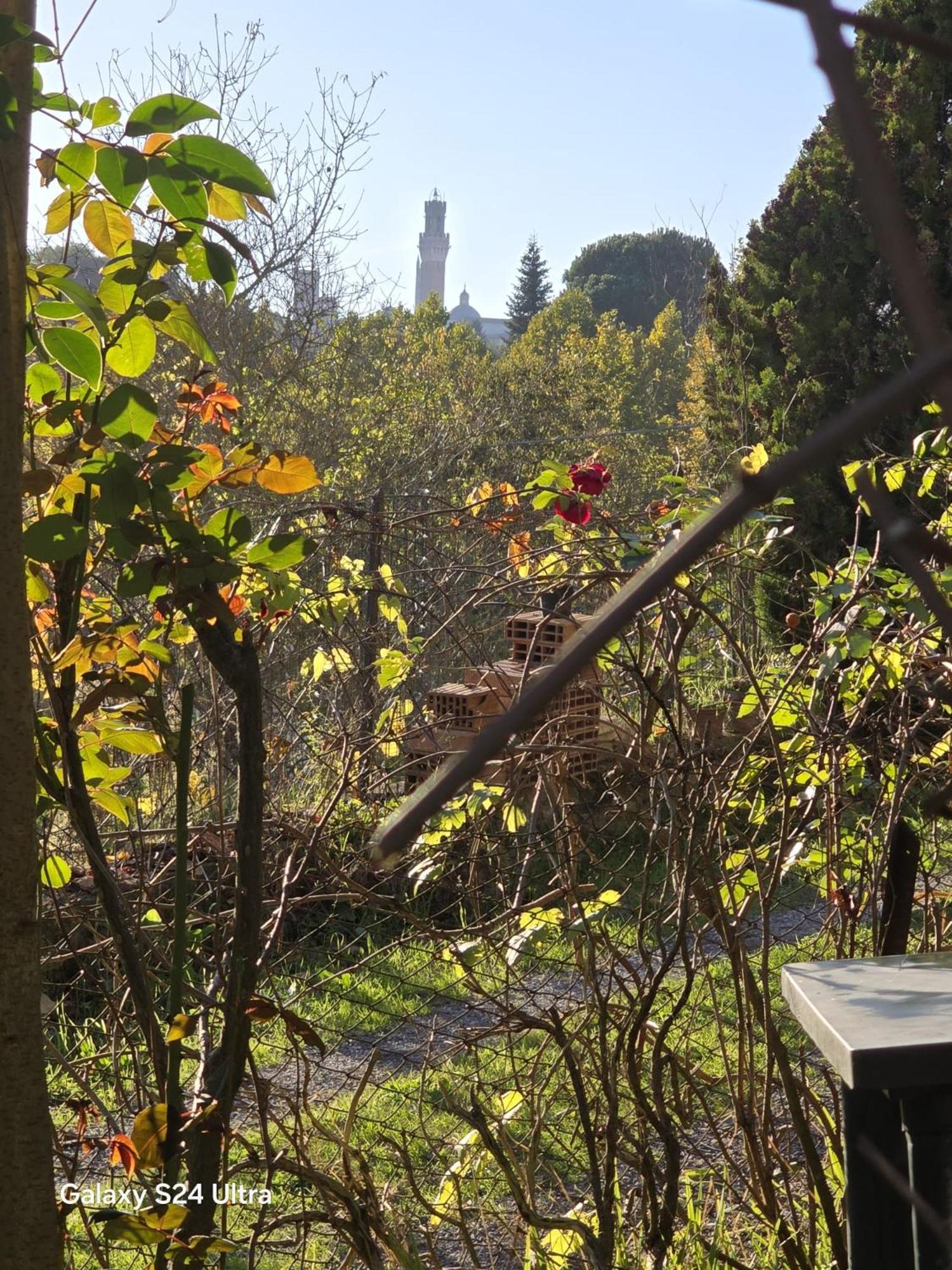 Podere Ponticini Siena Kültér fotó